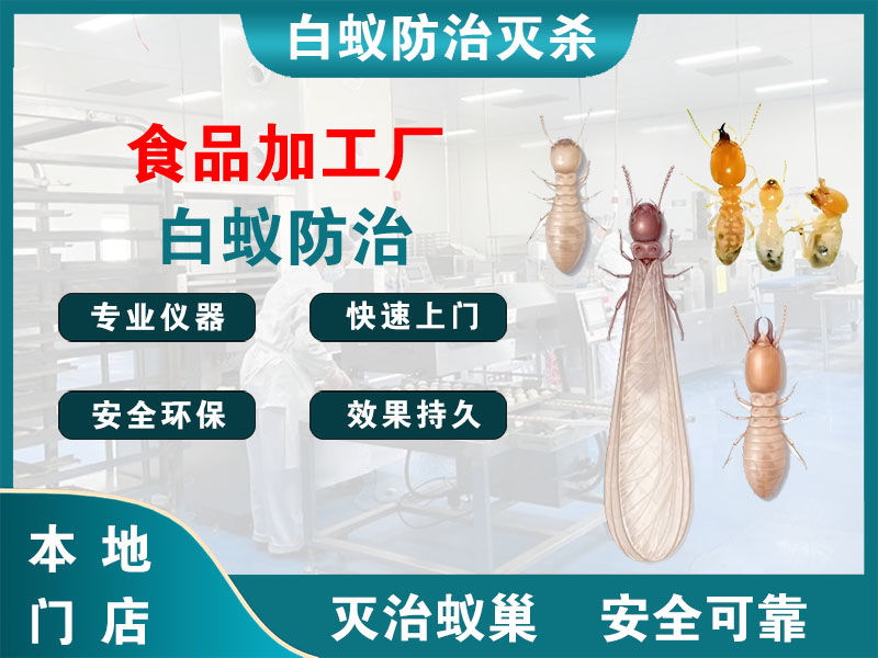 文成县食品加工厂白蚁防治