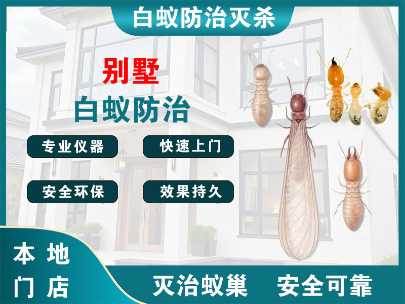 文成县别墅白蚁防治